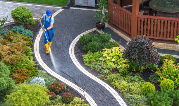 Best Affordable Pressure Washing  in USA